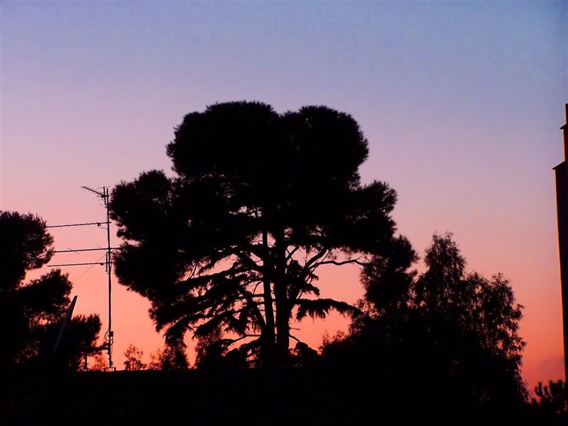 Tramonto in citt