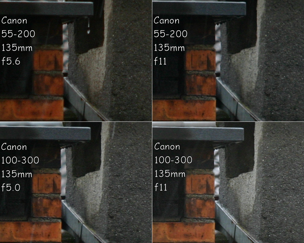 Confronto a 135mm di Canon 55-200 v. Canon 100-300