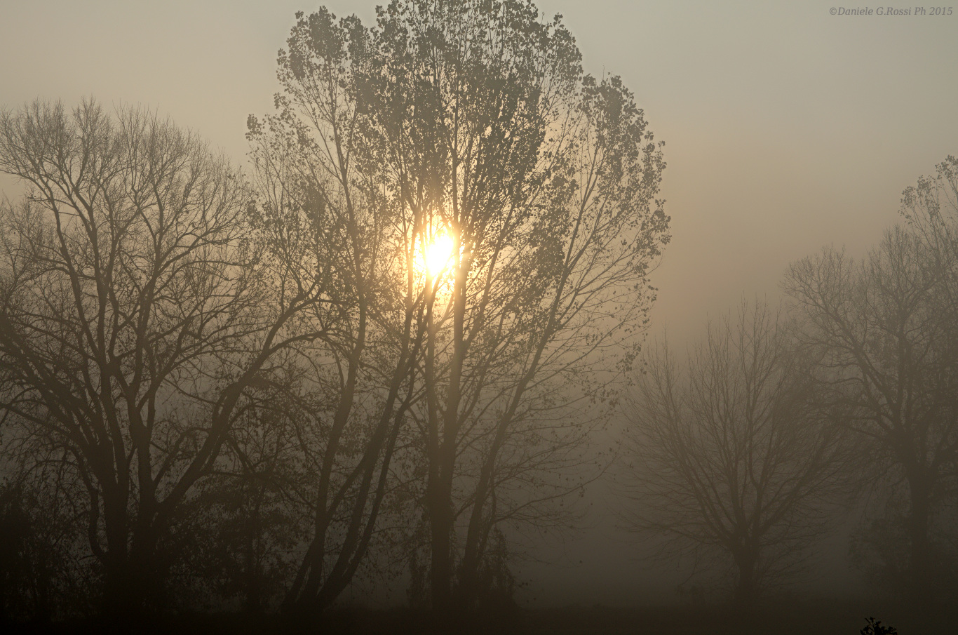 Foggy Sun 11/2015