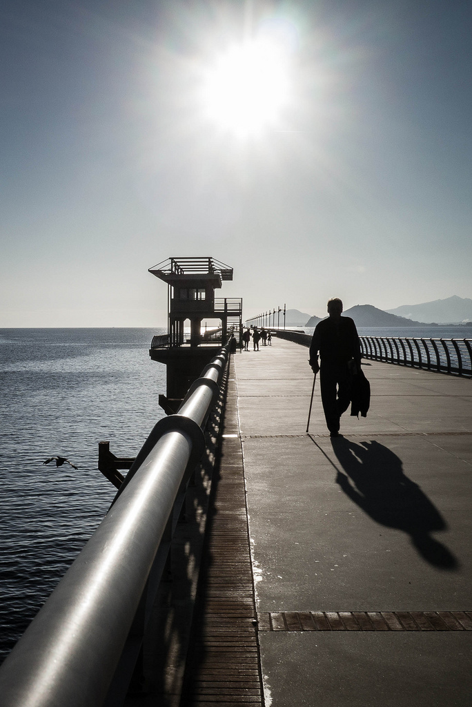 The old man and the seagull