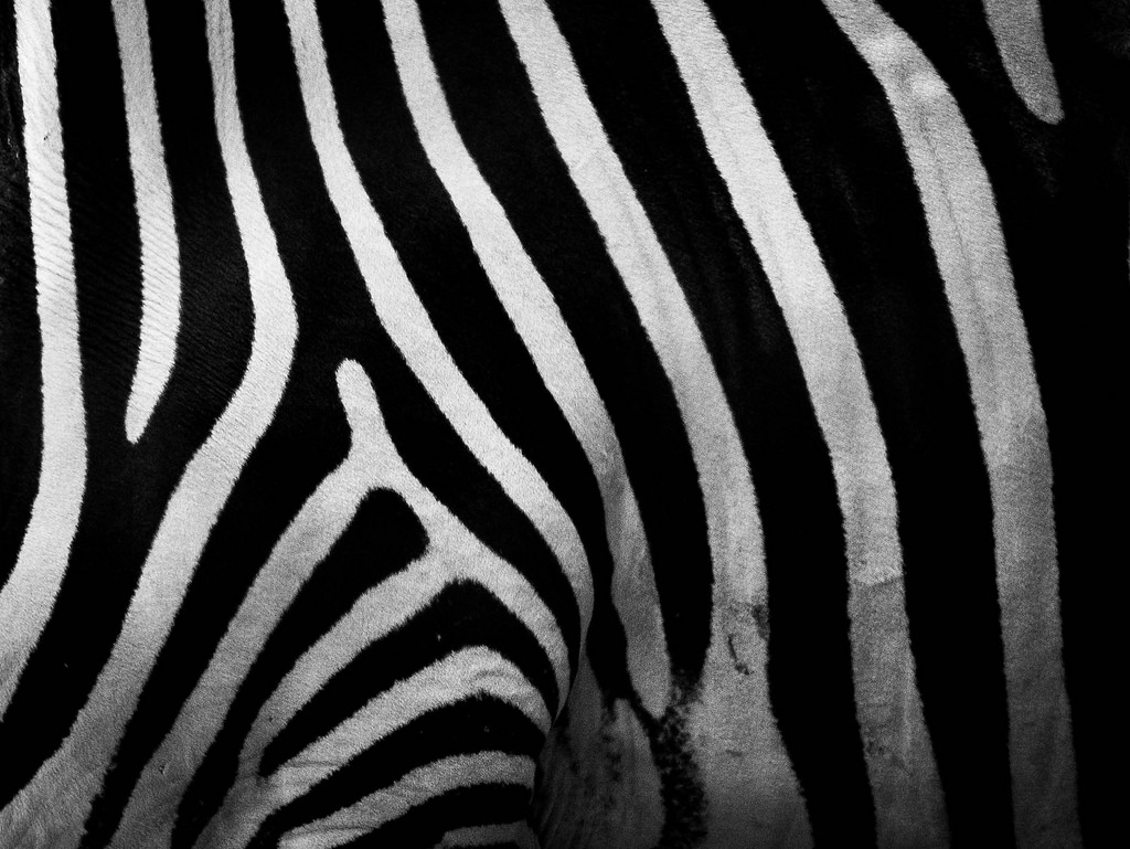 Black & white