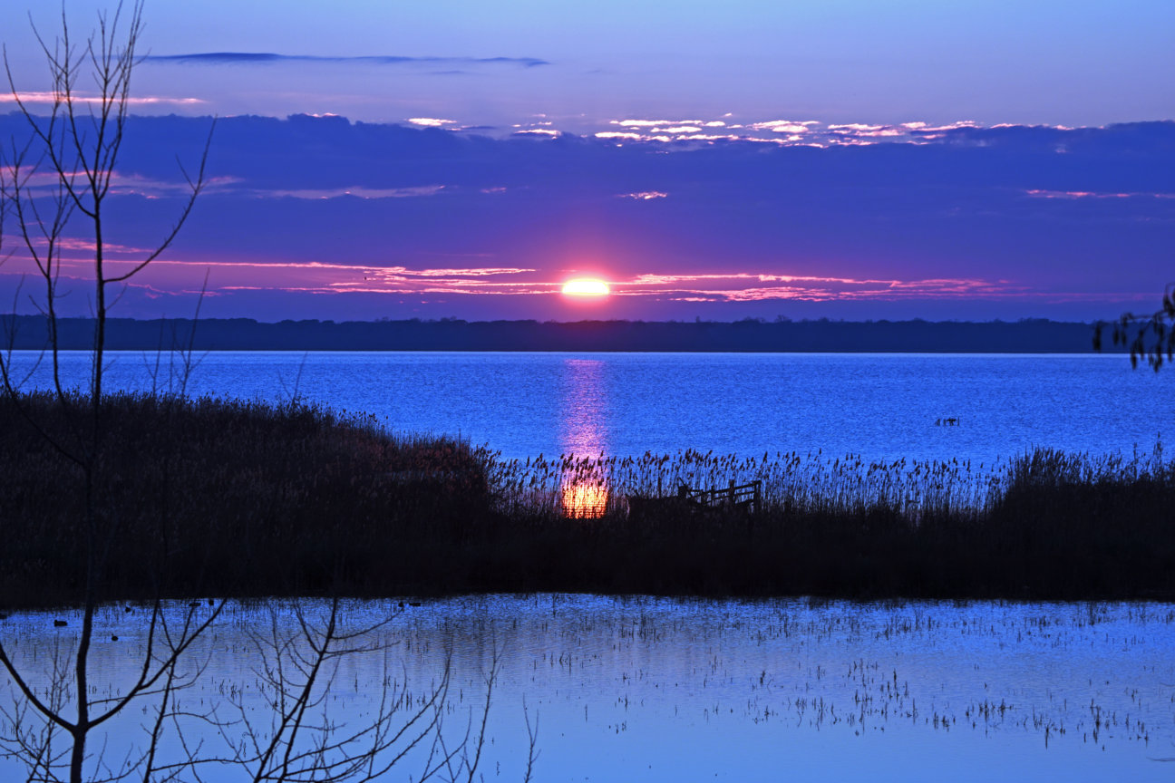 Tramonto a Massaciucoli