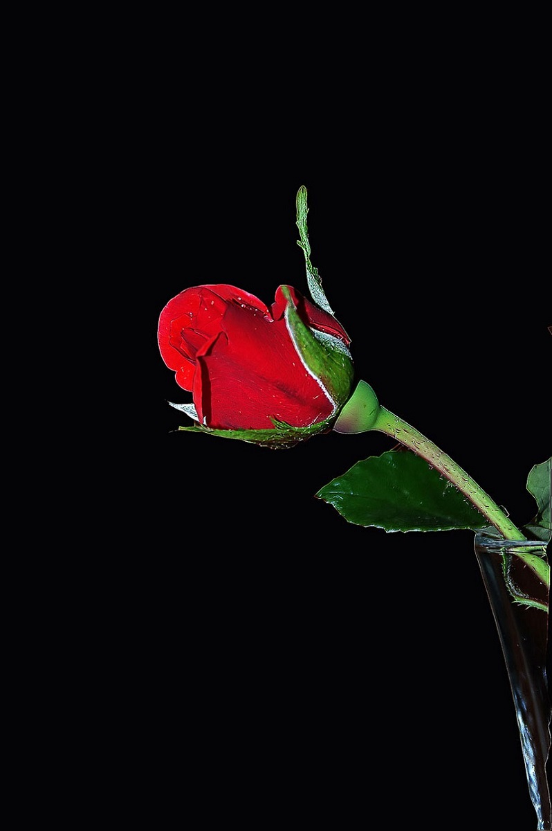rosso