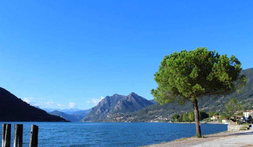 senza titolo