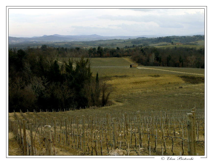 Altro paesaggio Toscano!