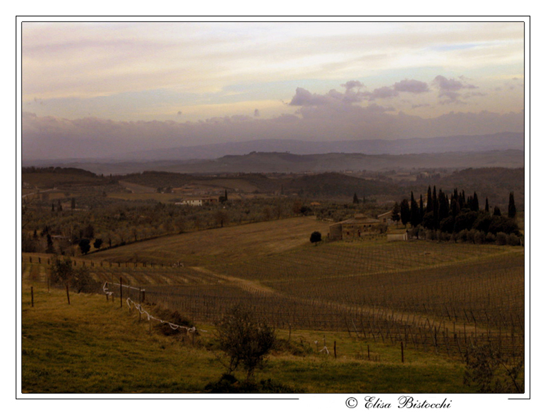 Colline Toscane!