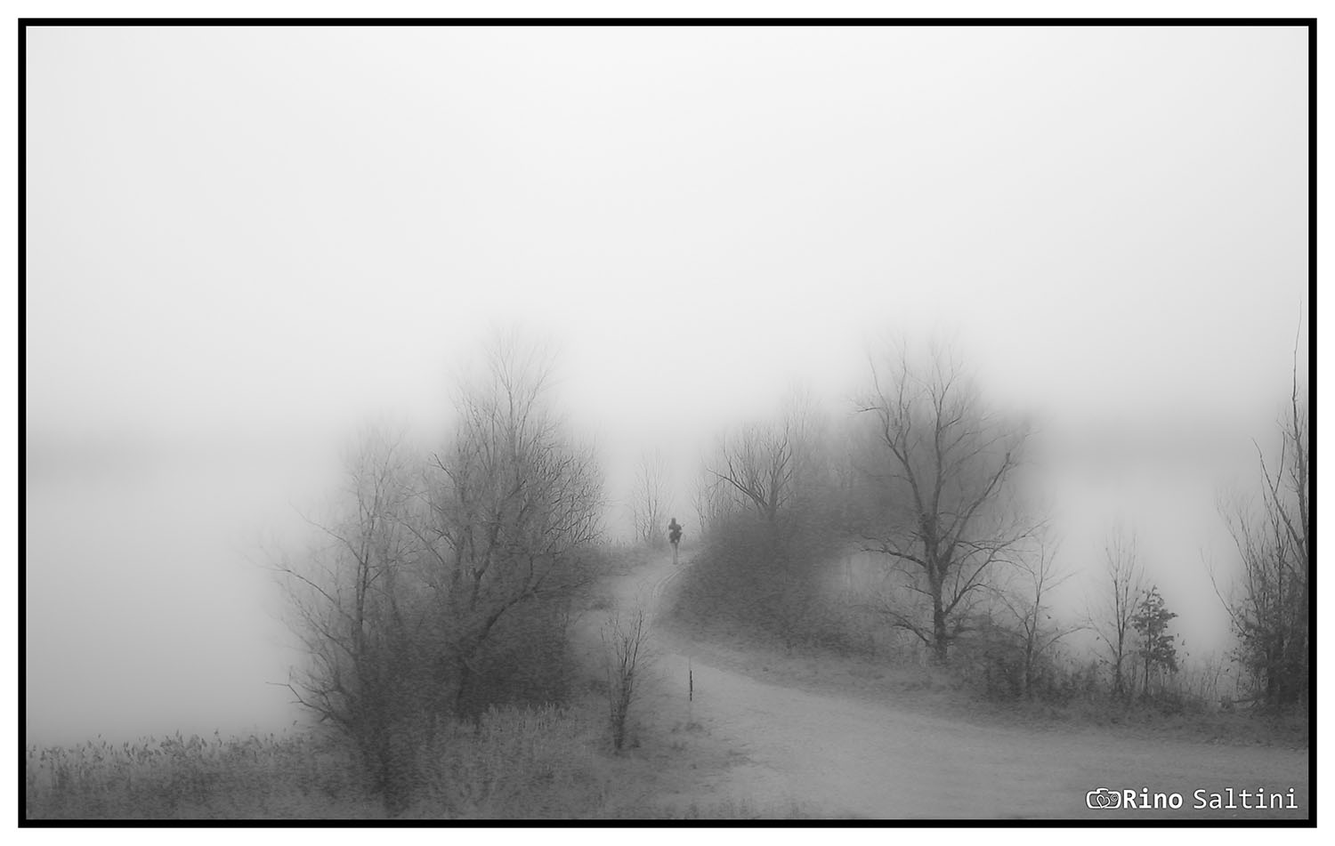 vagare solitari nella nebbia