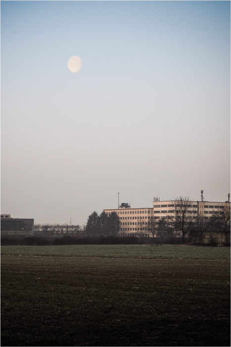 Moon light