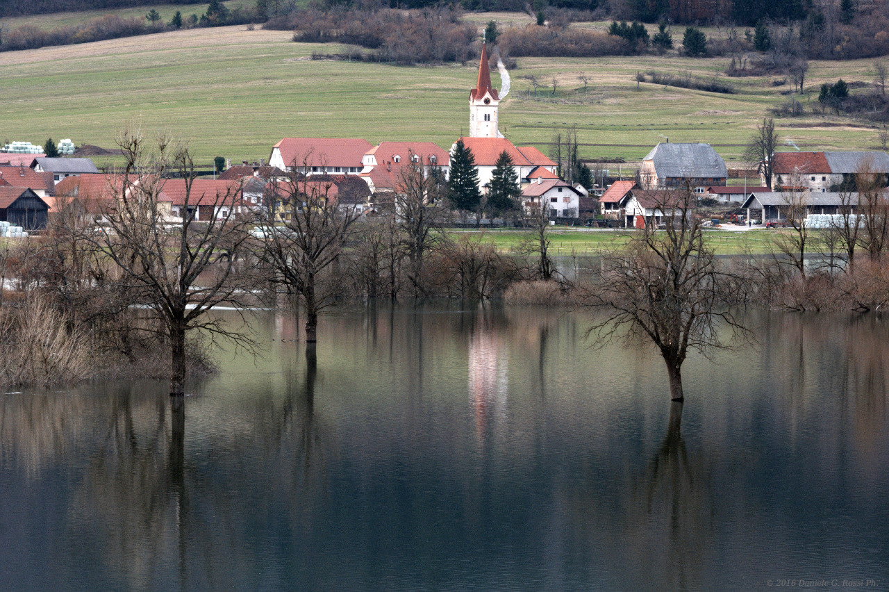 Planina (Slovenia)