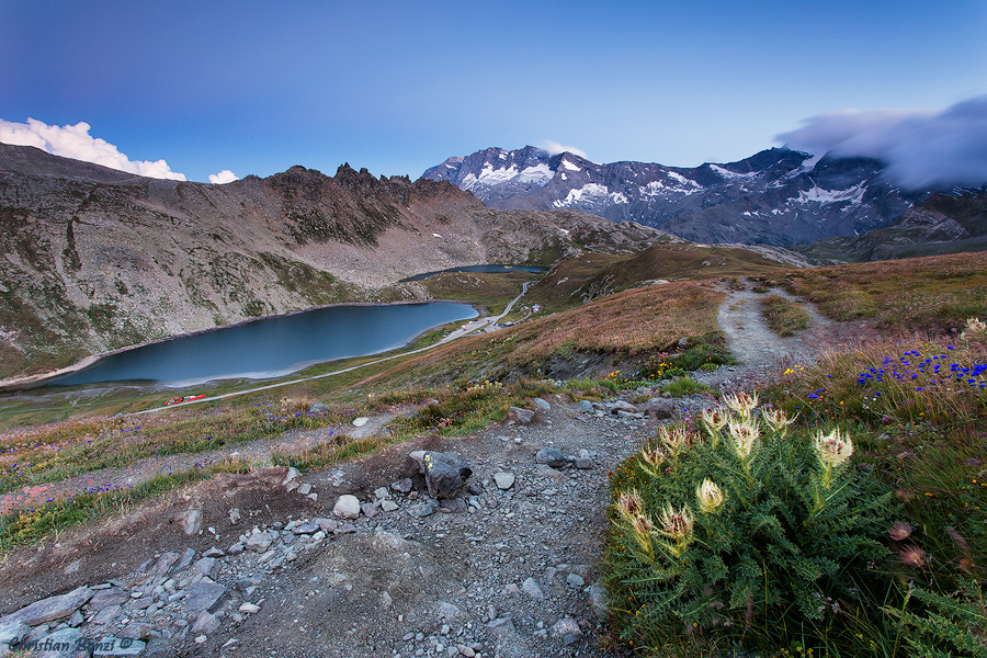 the path