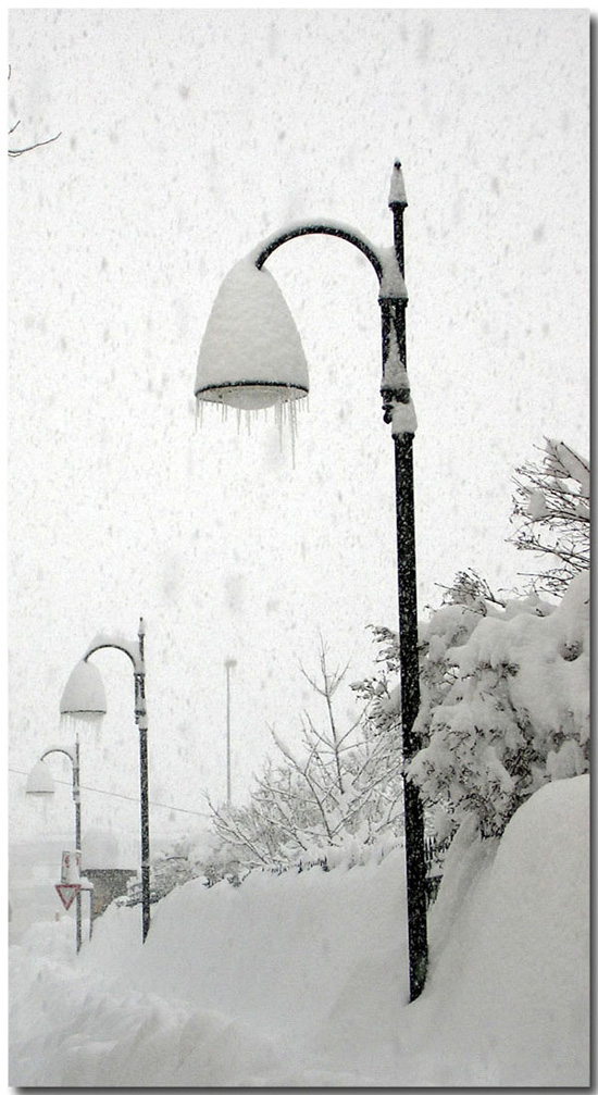 viale innevato 3