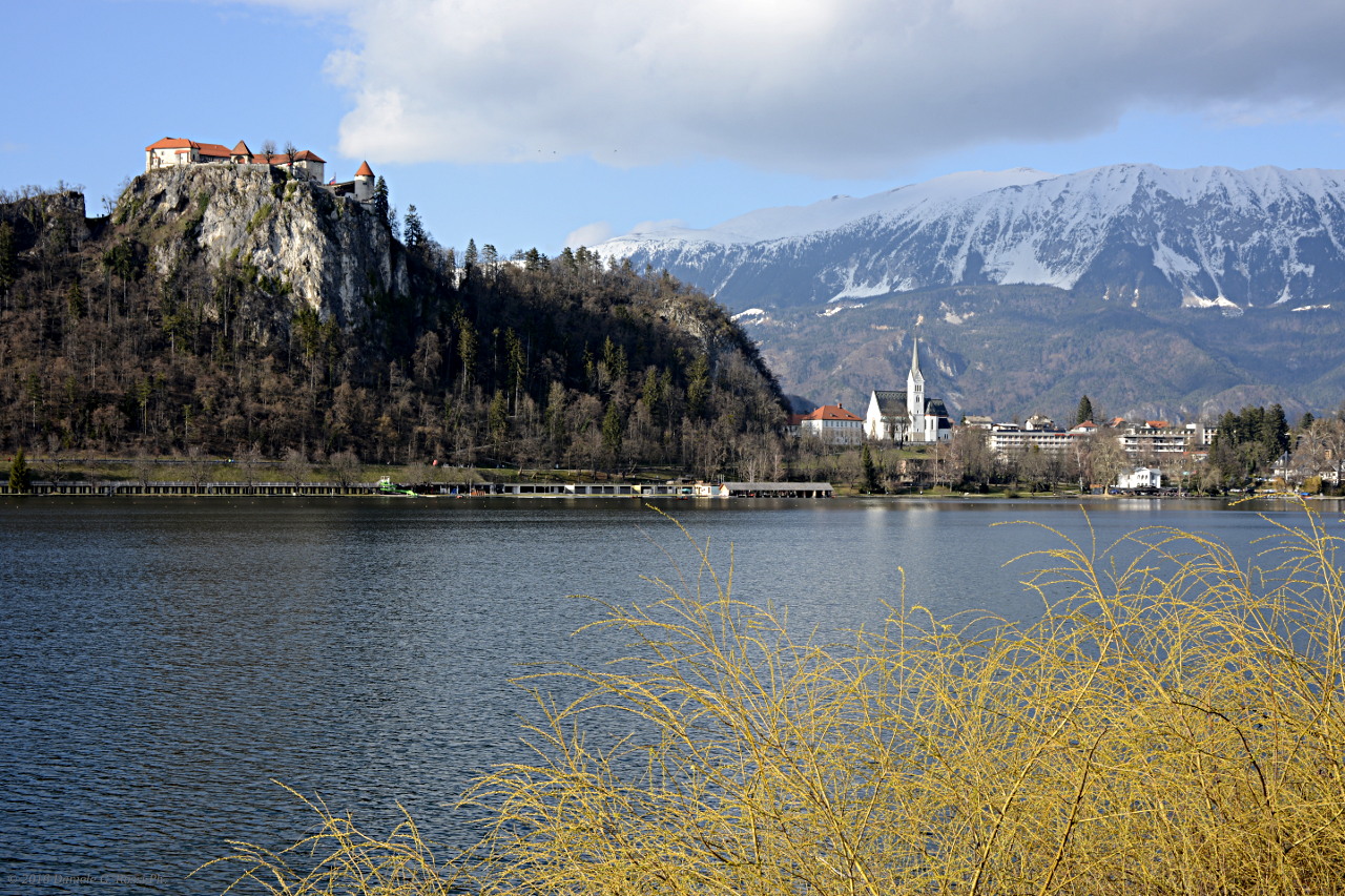 Lago di Bled 03