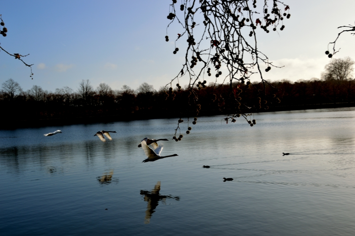 In volo