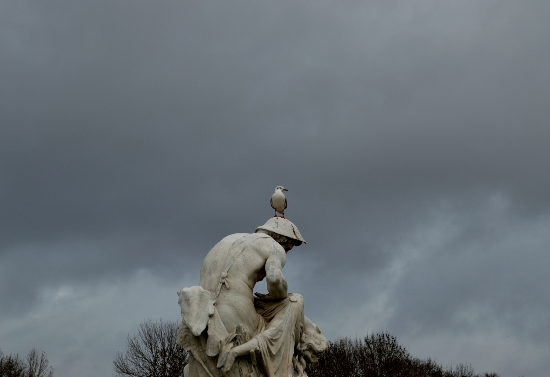 Il dominatore