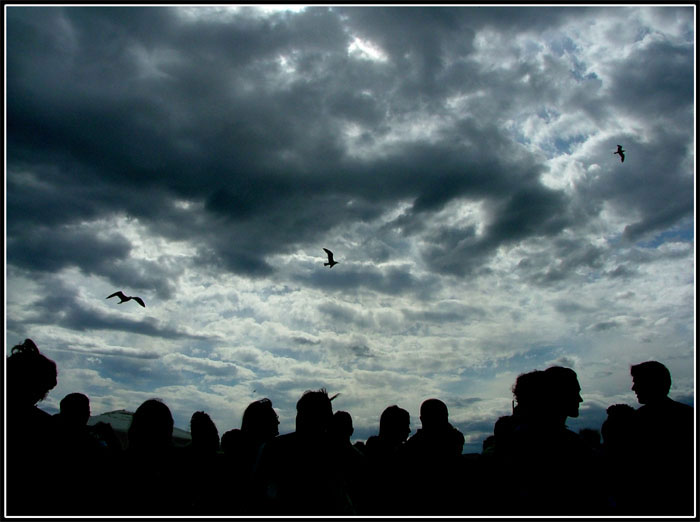Sta arrivando (autore Victor53)