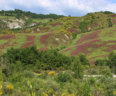 paesaggio