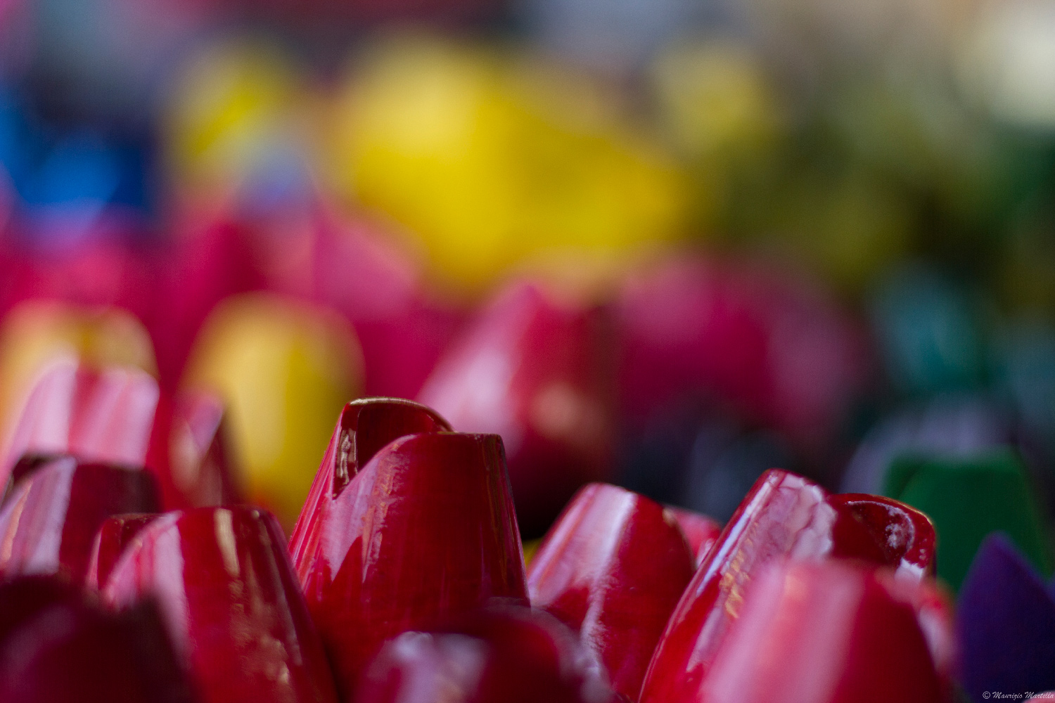 Red passion