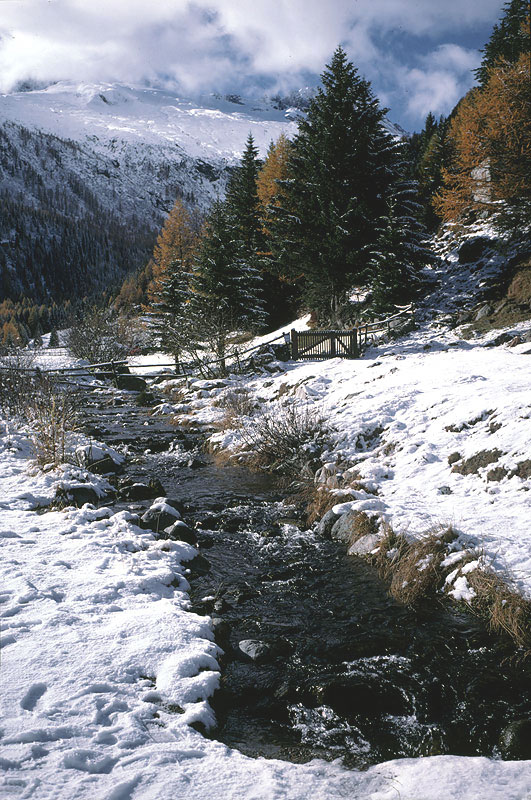 autunno in Valmalenco