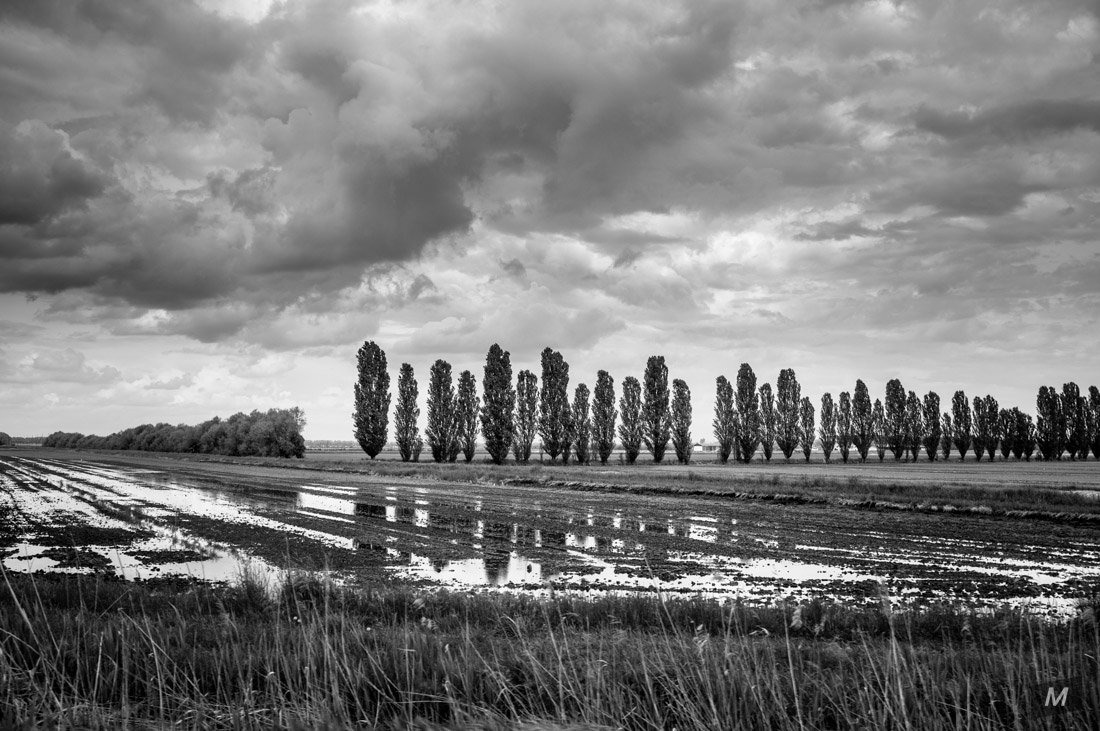 BW landscape