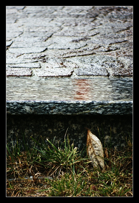 Solitudine 2