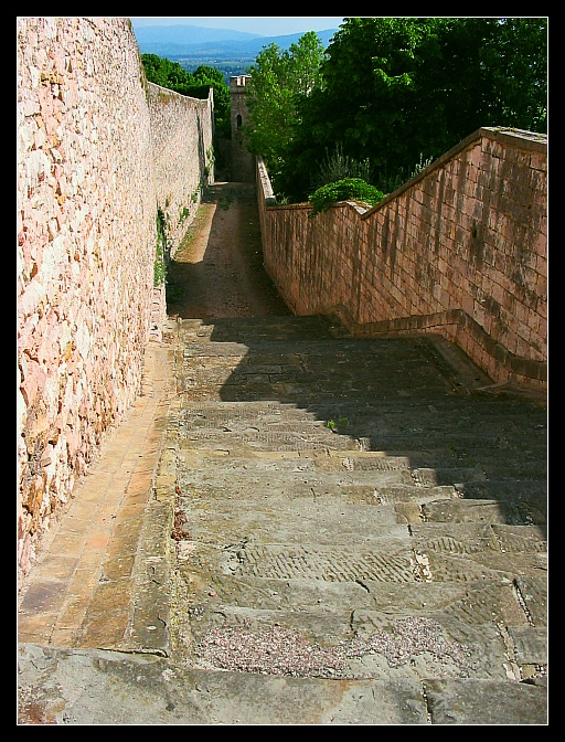 Assisi 6
