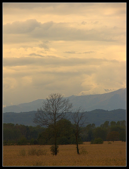 Rosso di sera
