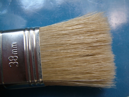 Pennello Close-Up