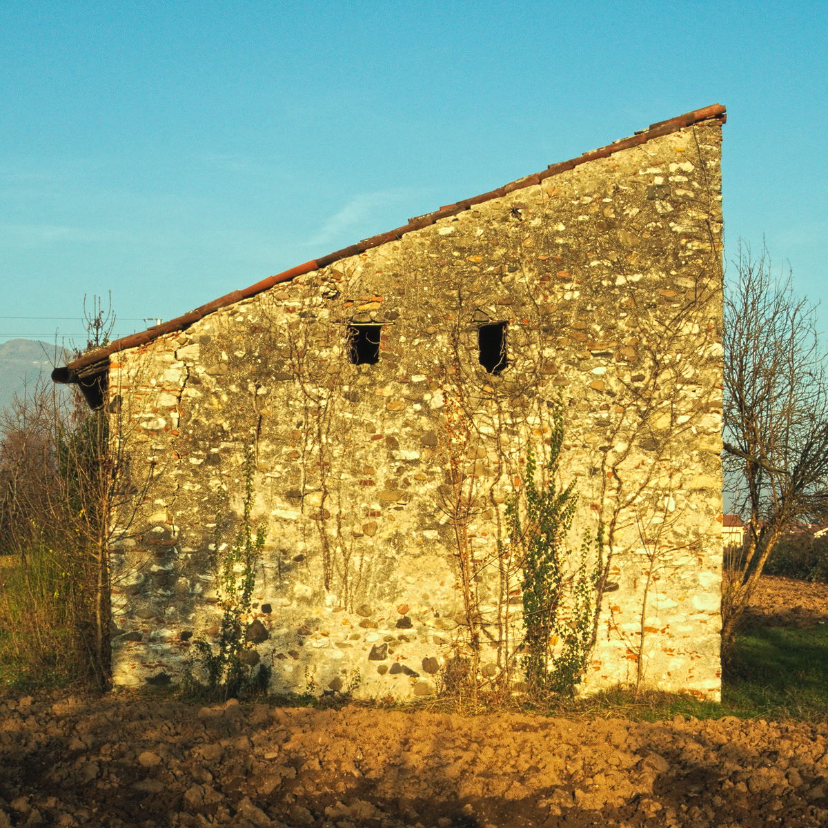 Trapezio