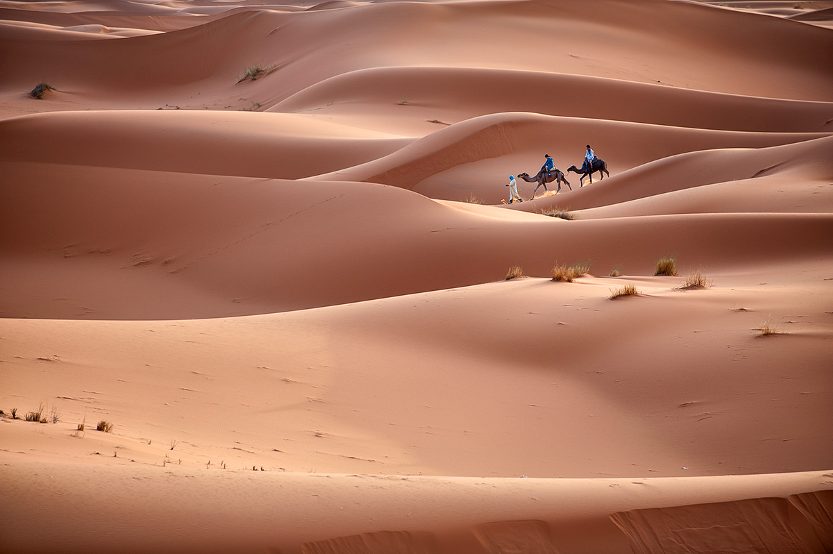 Sahara