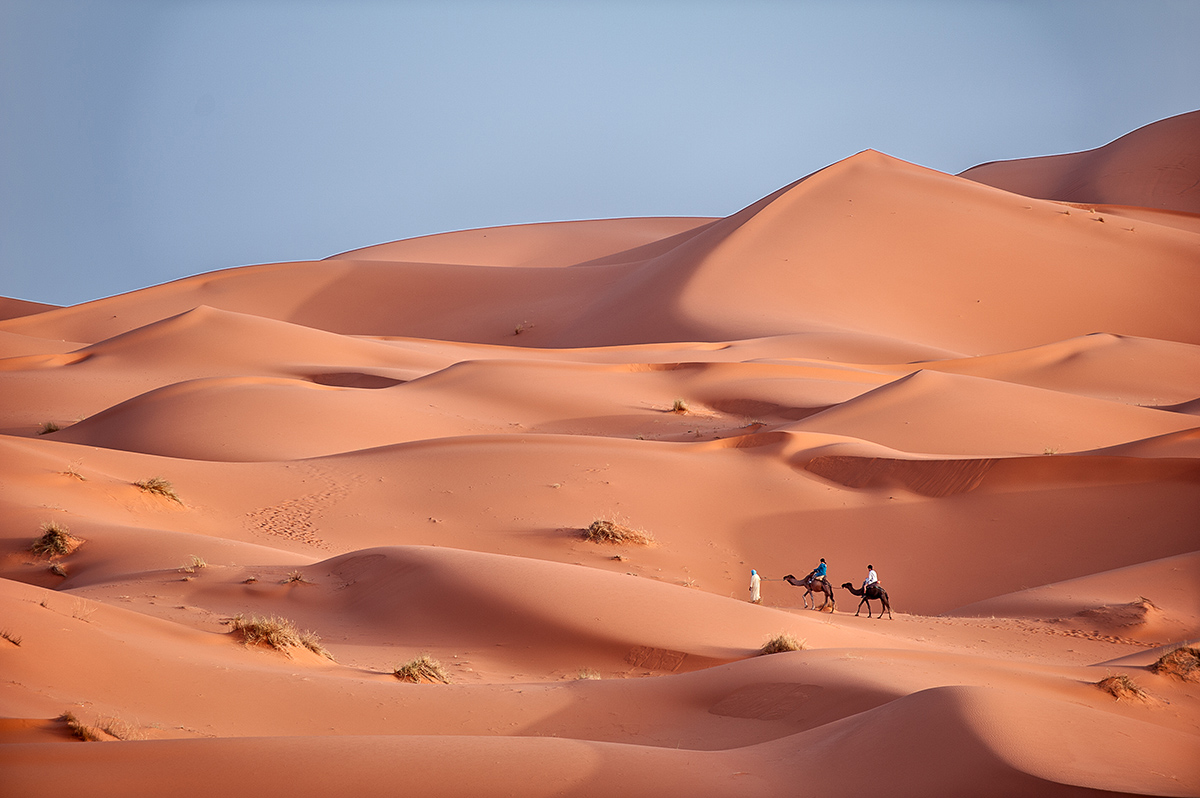 Sahara