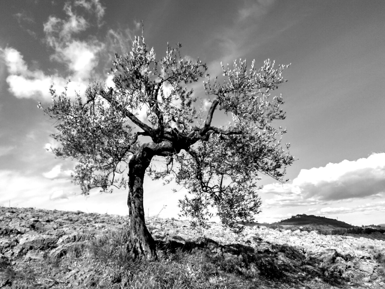 Umbria