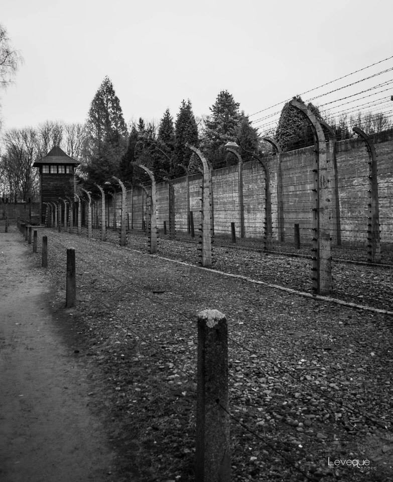 Aushwitz...una storia vera