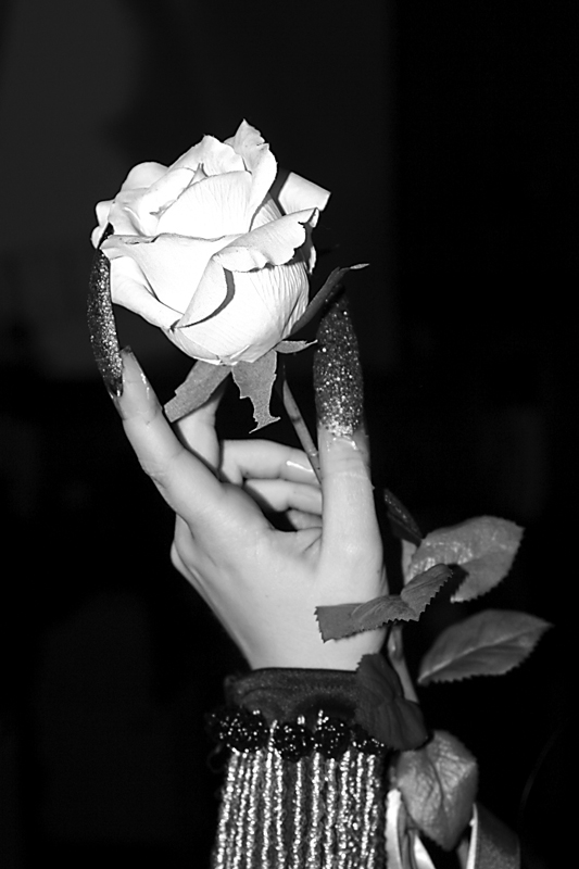 rosa nel pugno_BW