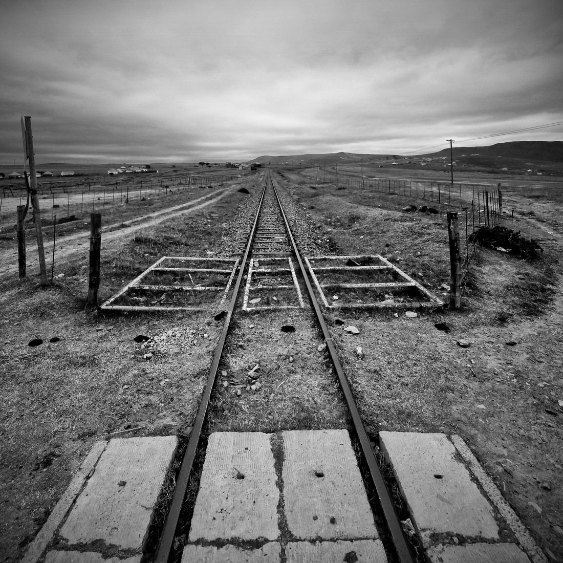 Compagni di viaggio