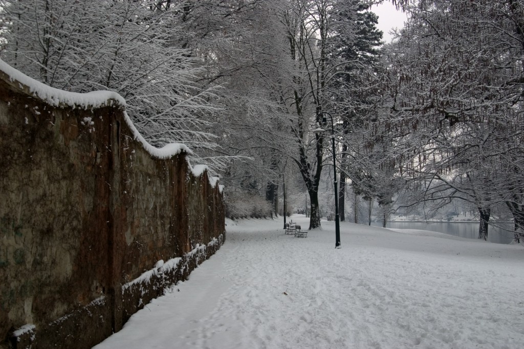 Nevicata a Torino 15