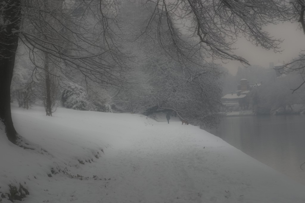 Nevicata a Torino 13