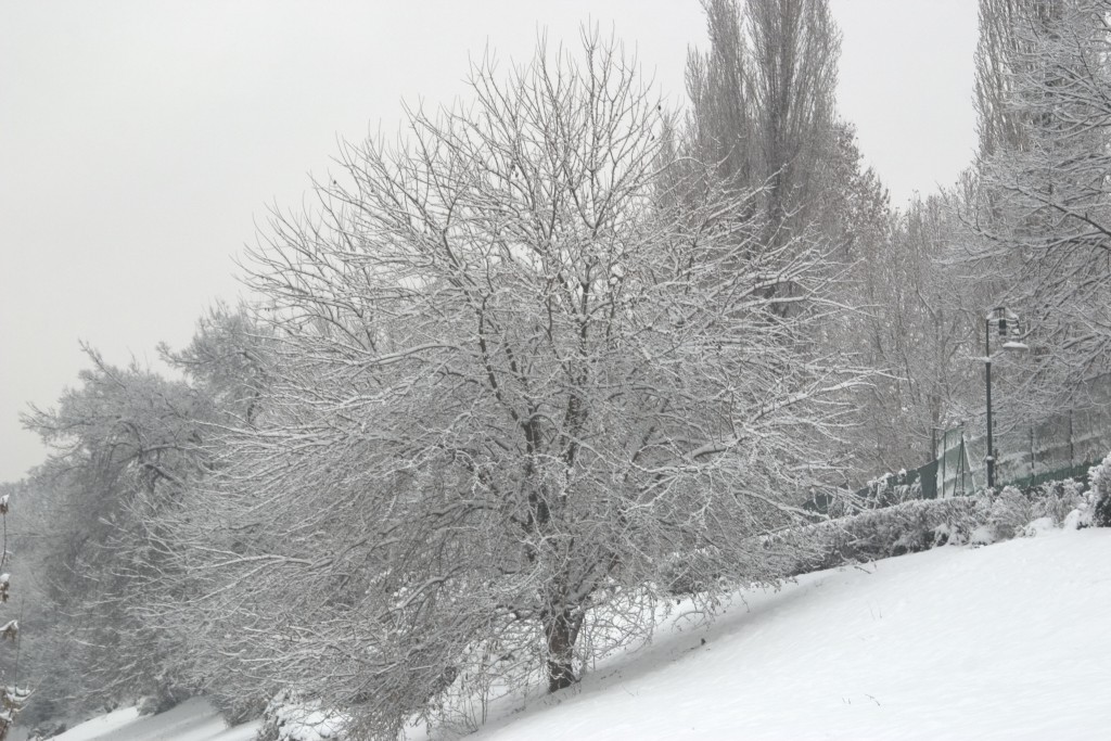 Nevicata a Torino 9