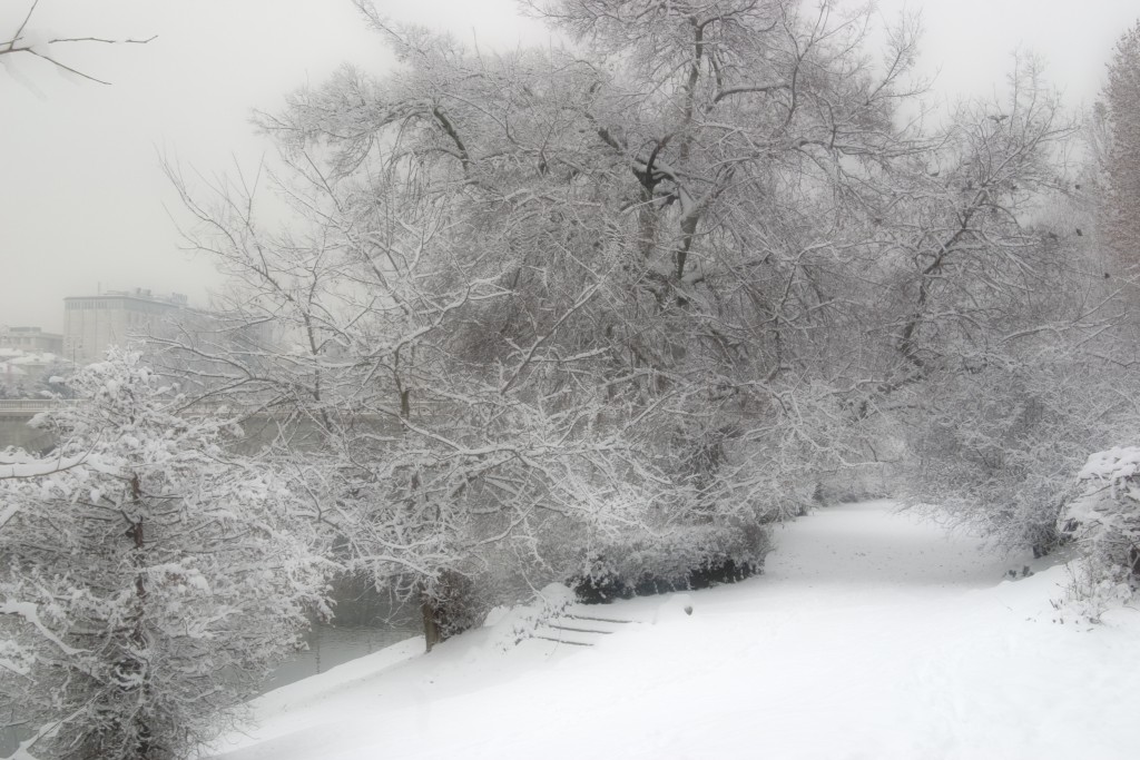 Nevicata a Torino 5
