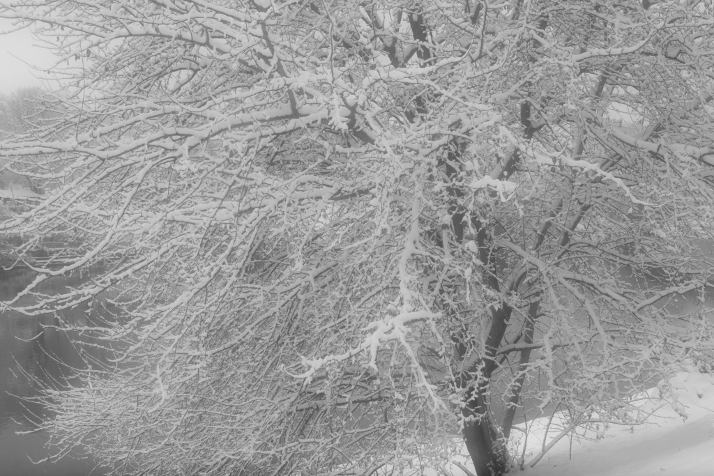 Nevicata a Torino 4