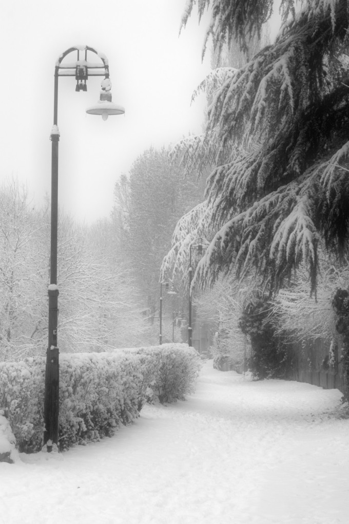 Nevicata a Torino 1