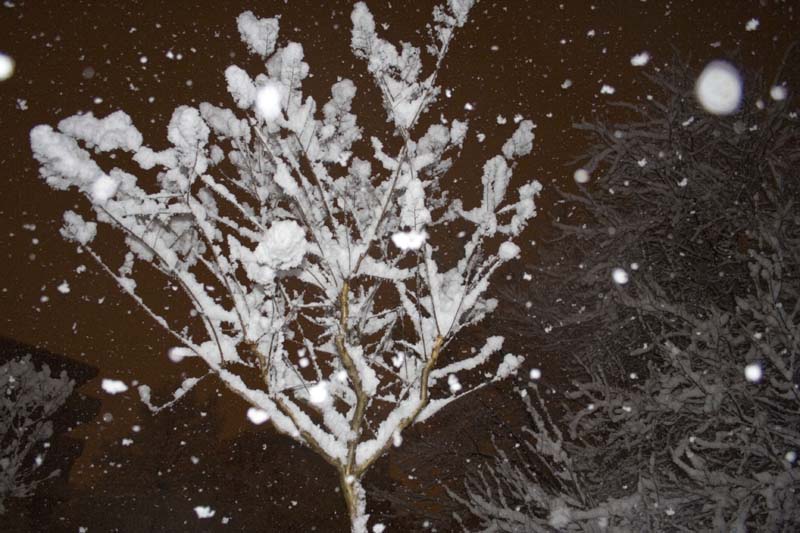 Neve a Firenze1