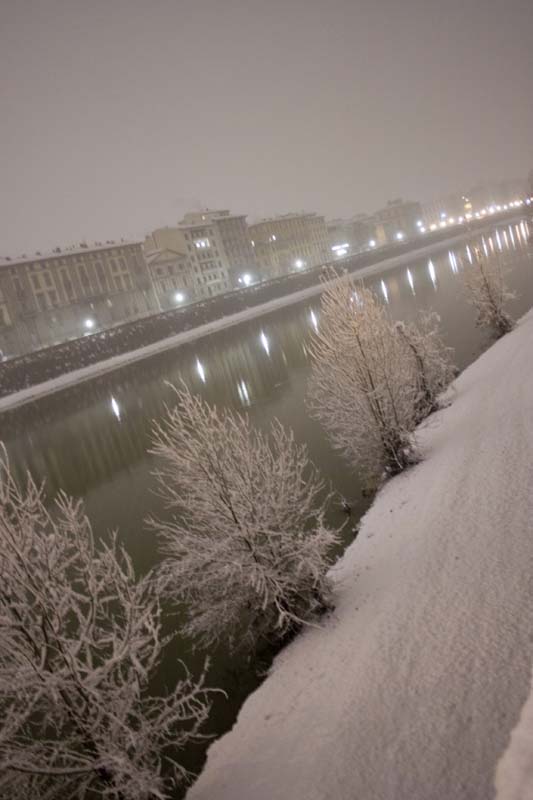 Arno D'argento