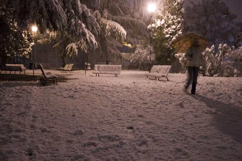 Presenza invernale
