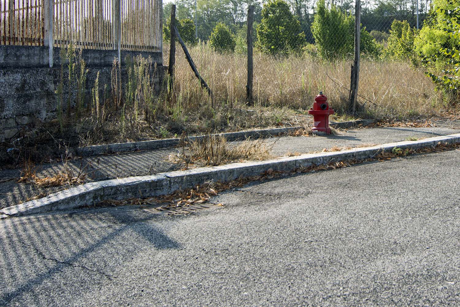 CasaliRomagnoli_Ebri_Roma_Complesso_WIP