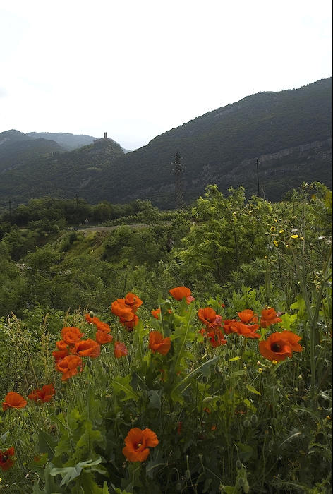 rosso con castello