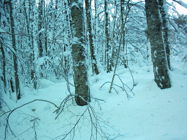 L'inverno
