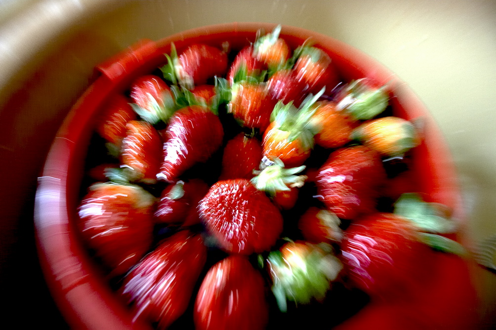 Fragole