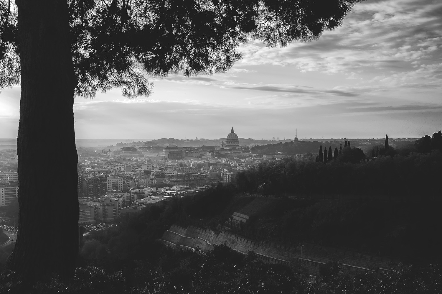 Roma