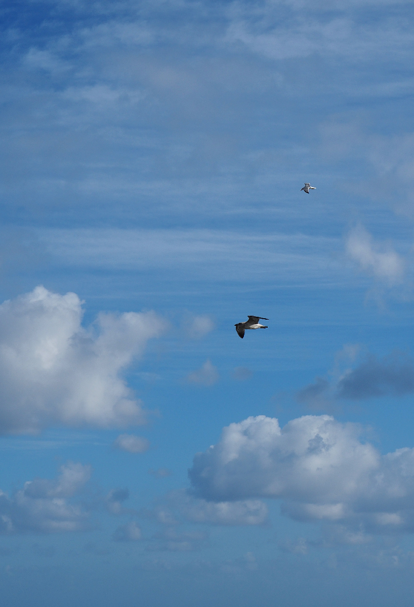 Clouds
