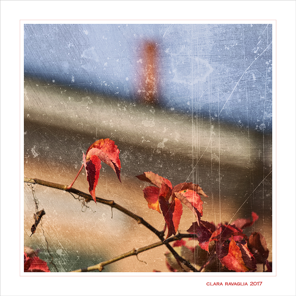 Pergamena...autunnale